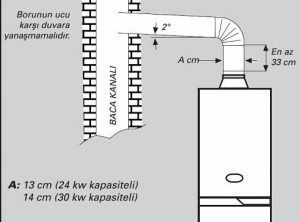 Bacali Kombi ve Değişimi